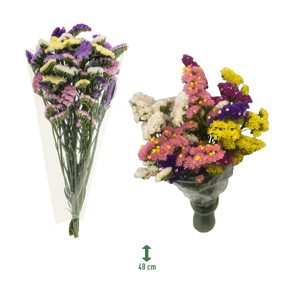 GARDENLINE® - Ramo de flores