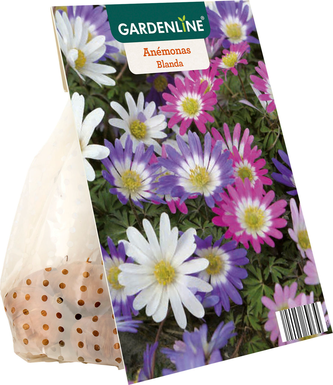 GARDENLINE® - Bulbos de otoño