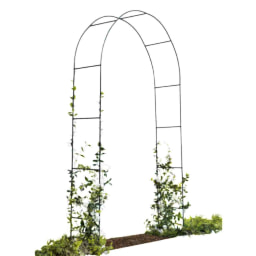 Arco / Torre para plantas