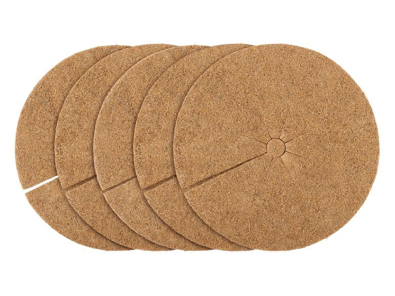 Set de 10 rodajas de coco