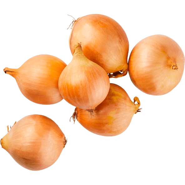 Cebollas