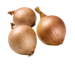 Cebolla dulce malla