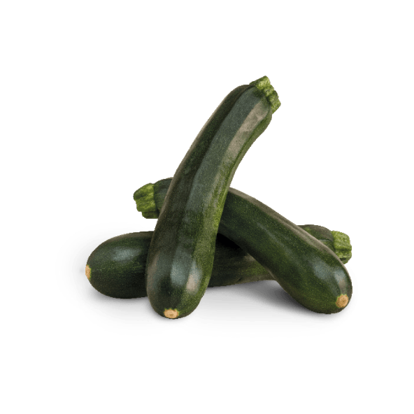 Calabacín