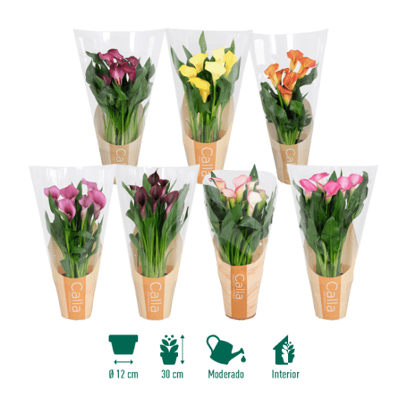 GARDENLINE® - Cala