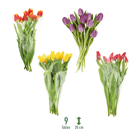 GARDENLINE® - Ramo de tulipanes