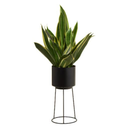 Maceta con soporte, Ø 13 cm.