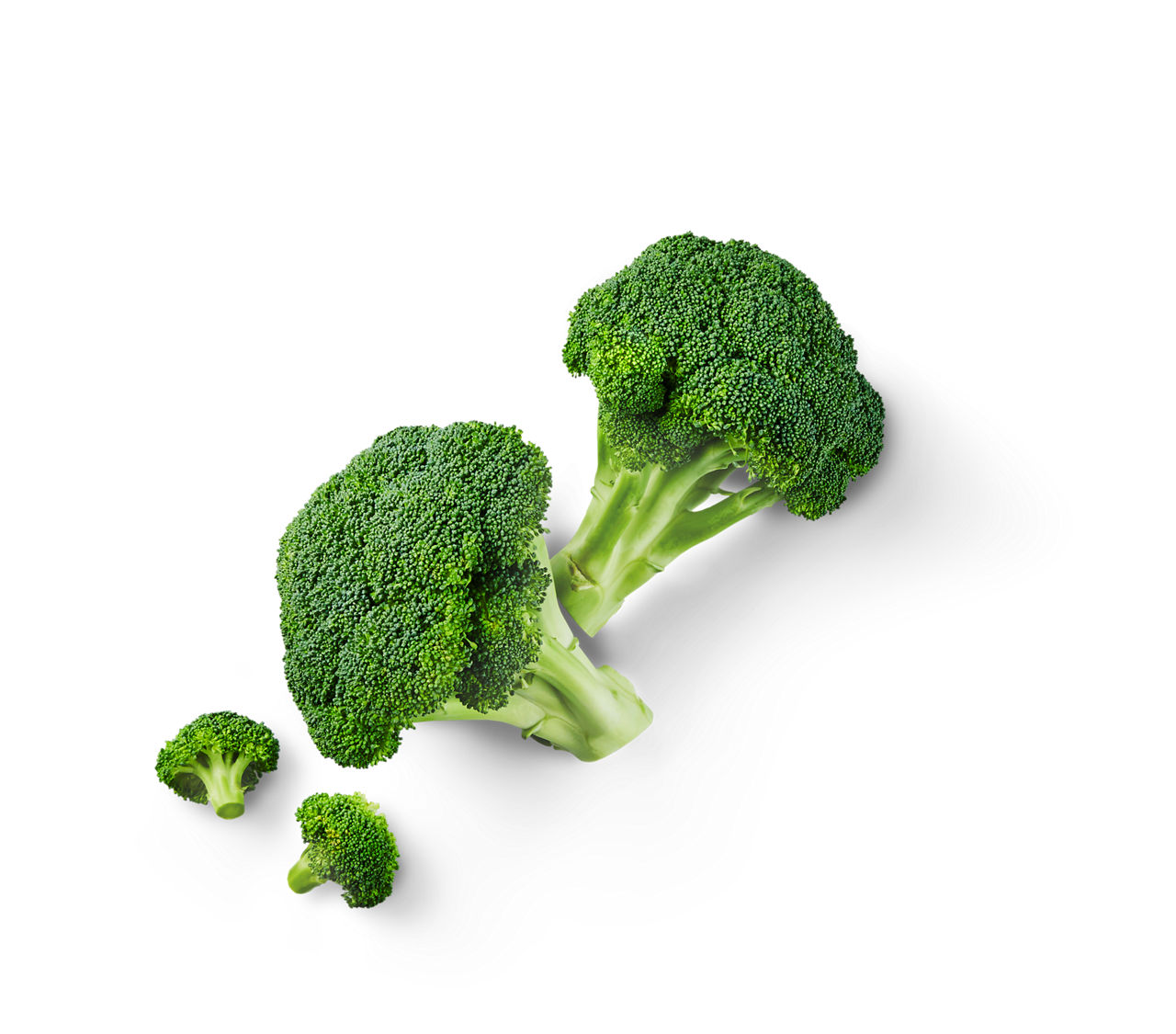 Brócoli