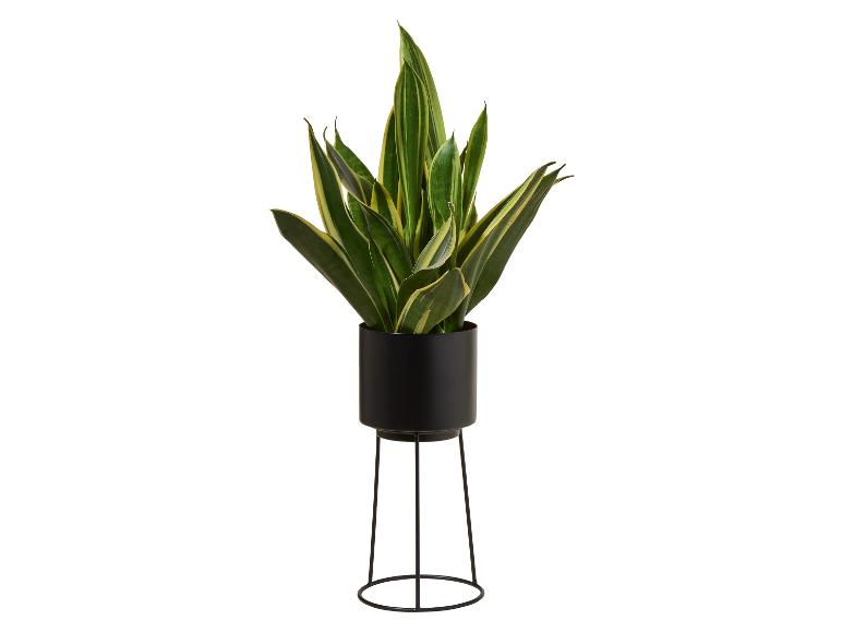 Maceta con soporte, Ø 13 cm.
