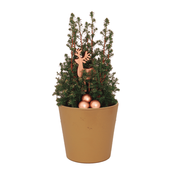 GARDENLINE® - Árbol de Navidad