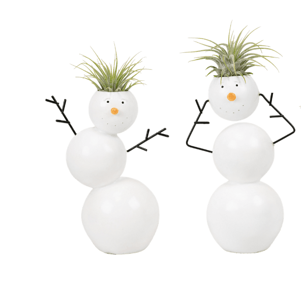 GARDENLINE® - Planta en muñeco de nieve