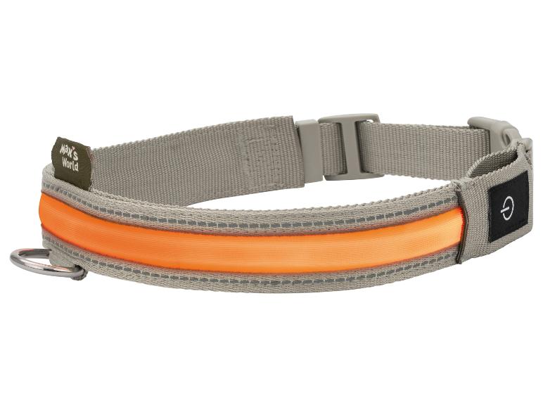 Collar luminoso LED para perro / Tubo luminoso LED para perro