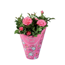 Rosal