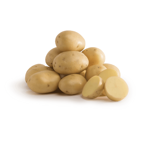 Patata nueva blanca