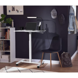 LIVARNO® - Mesa regulable en altura