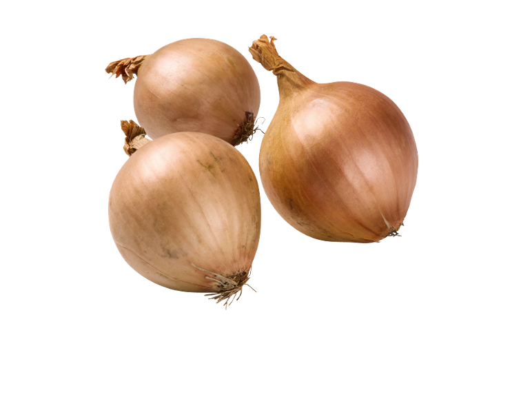 Cebolla dulce malla
