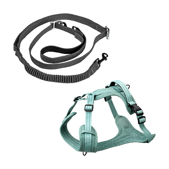 ROMEO® - Correa / Arnés para perros