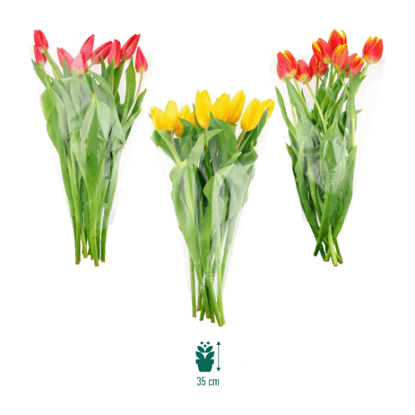 GARDENLINE® - Ramo de tulipanes