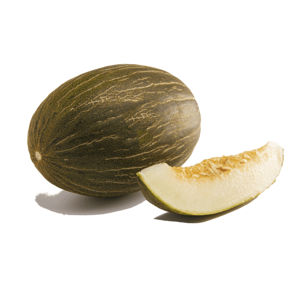 Melón piel de sapo