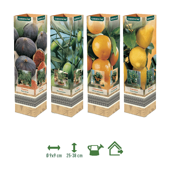 GARDENLINE® - Plantas mediterráneas