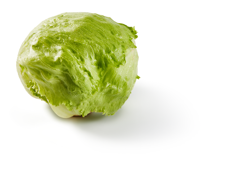 Iceberg