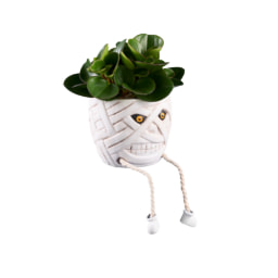 Planta verde