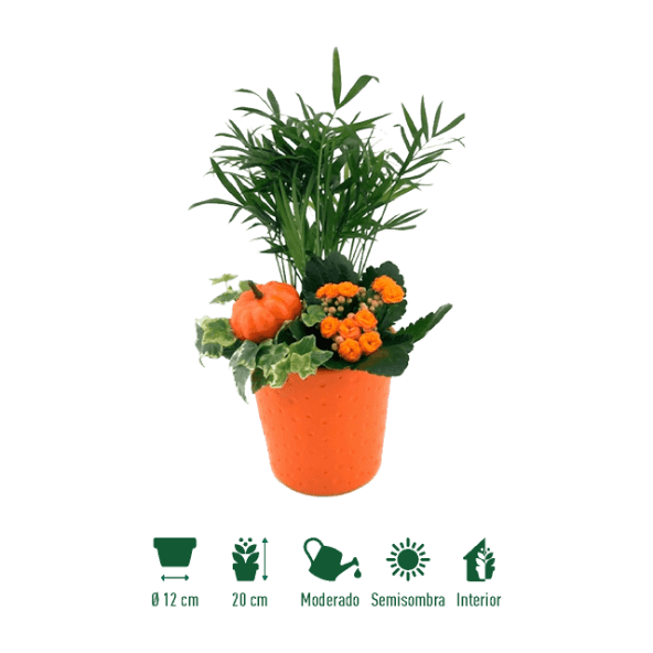 GARDENLINE® - Arreglo de plantas