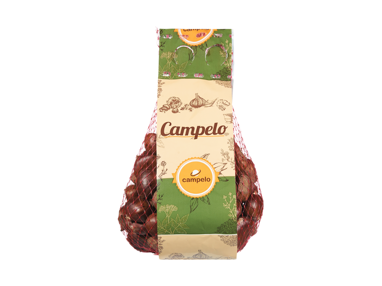 Castaña