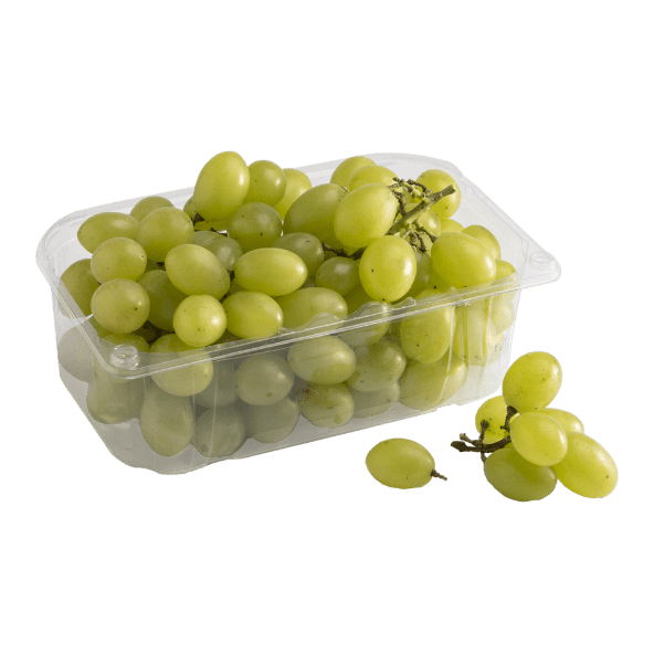 Uva de mesa blanca sin semillas