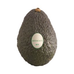 Aguacate