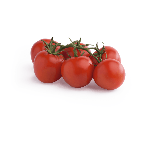 EL MERCADO® Tomate en rama