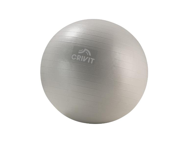 Tabla de equilibrio / Pelota de gimnasia / Set de bandas de fitness