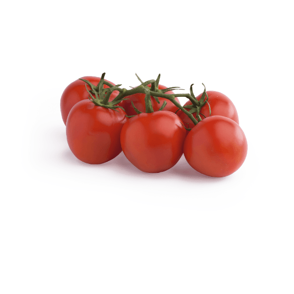 Tomate en rama