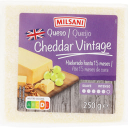 MILSANI® - Queso cheddar vintage