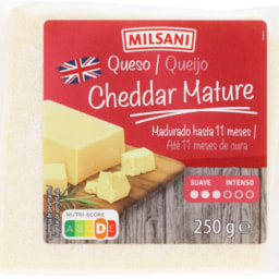 MILSANI® - Queso cheddar mature