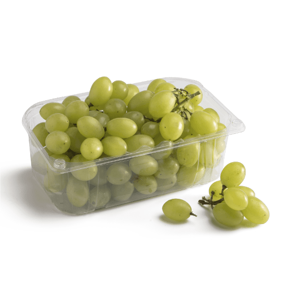 Uva de mesa blanca sin semillas