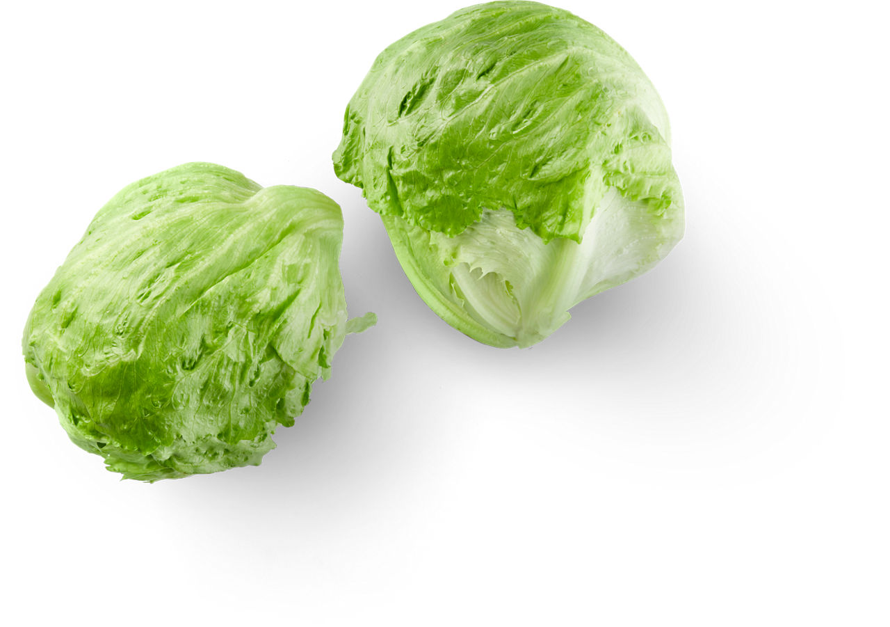 Lechuga iceberg