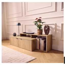 Mueble bajo para televisión, 2 puertas
