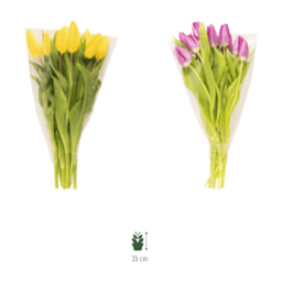 GARDENLINE® - Ramo de tulipanes