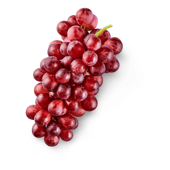 Uva de mesa roja sin semillas