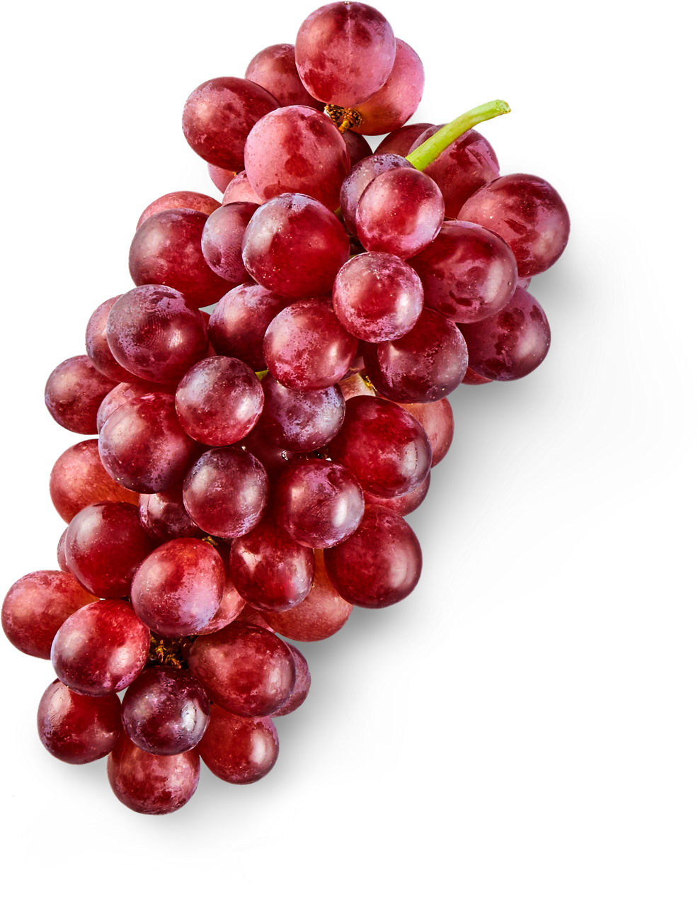 Uva de mesa roja sin semillas