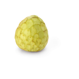 Chirimoya