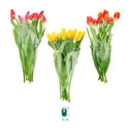 GARDENLINE® - Ramo de tulipanes