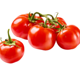 Tomate rama