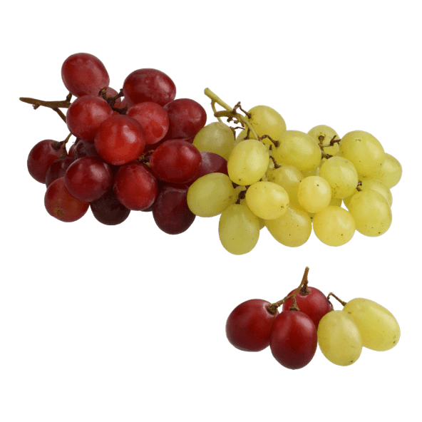 Uva de mesa blanca y roja sin semillas