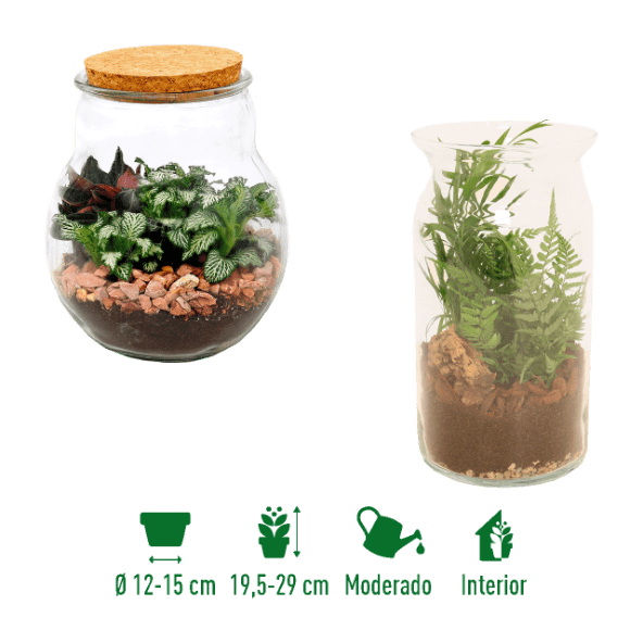 GARDENLINE® - Terrario en vidrio