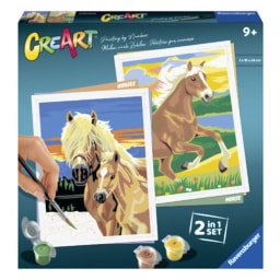 Set de pintura por números