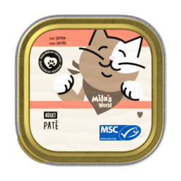 Paté para gatos