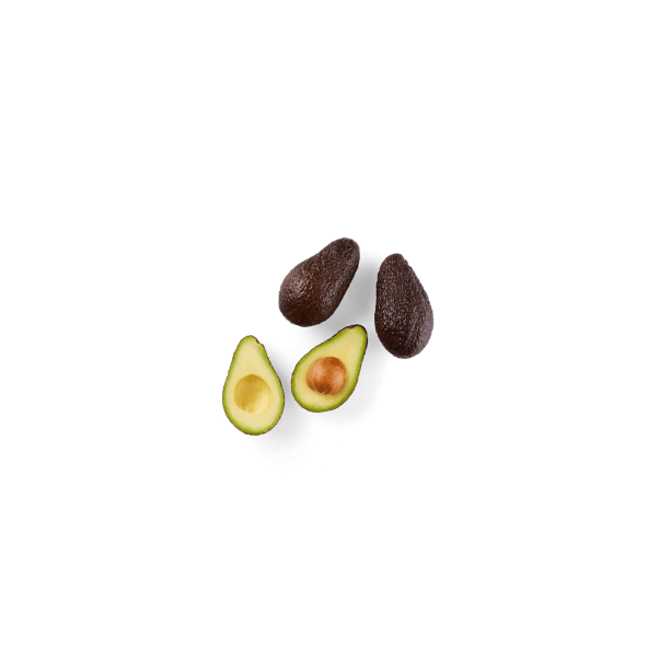 Aguacate