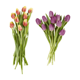 GARDENLINE® - Ramo de tulipanes