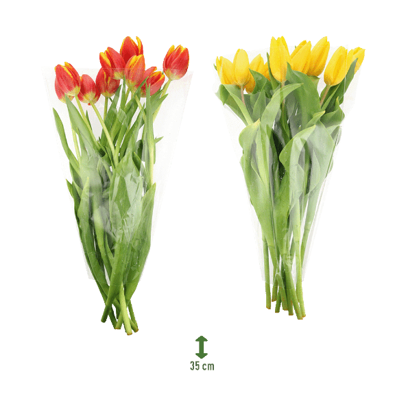 GARDENLINE® - Ramo de tulipanes